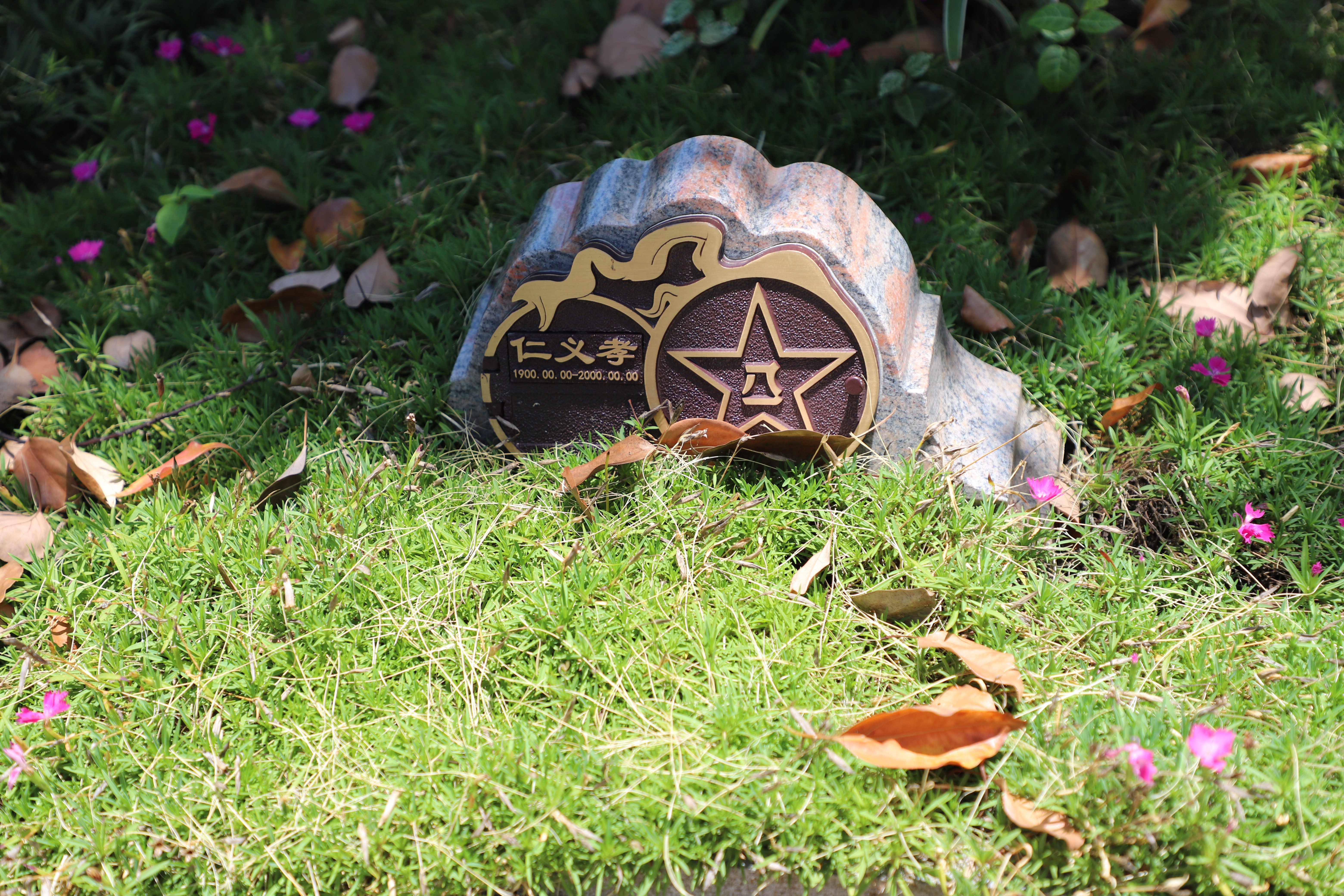 尘归尘，土归土：当生命终与自然相融