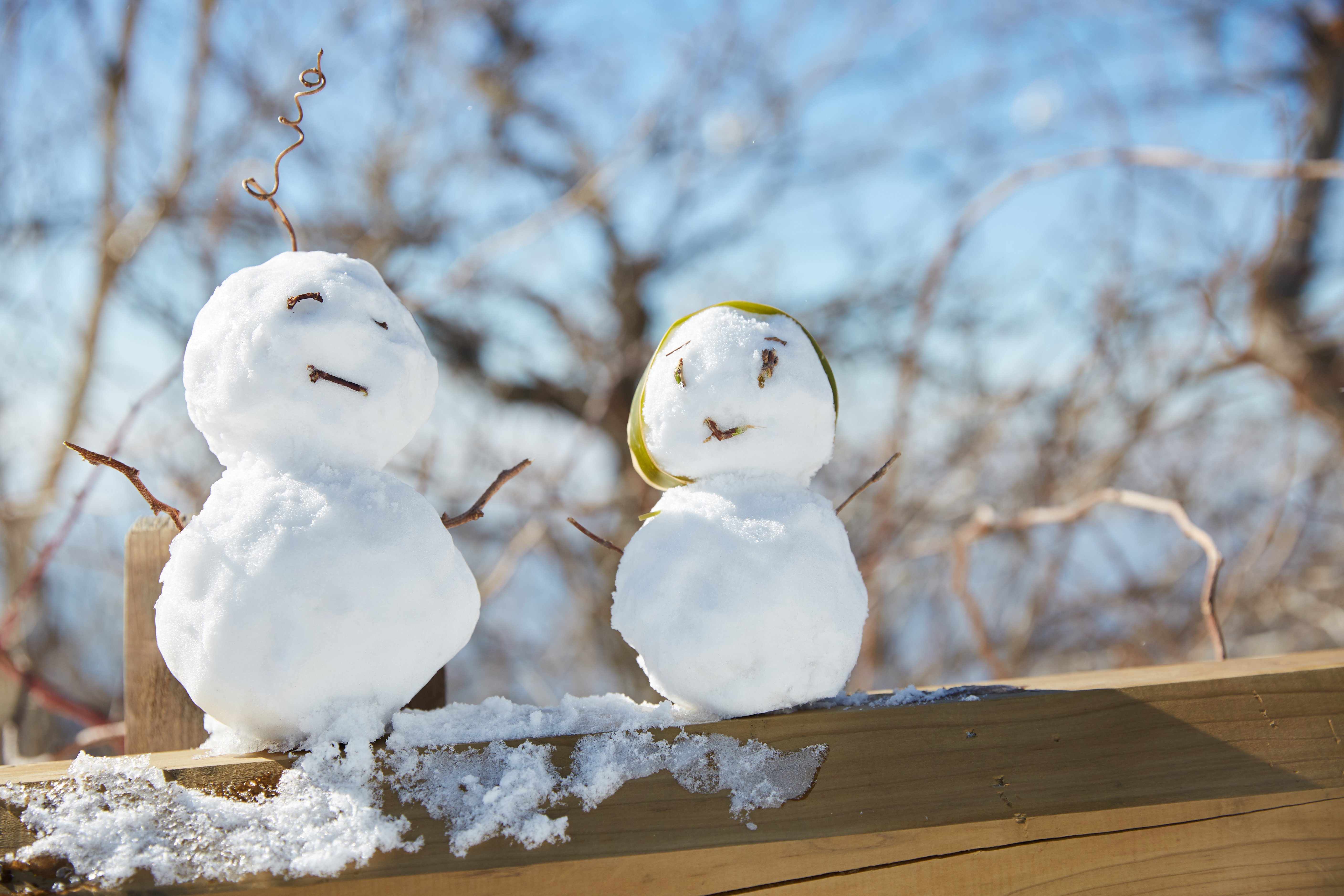 冬至，暖“杨”相伴 | 亿万先生人全力配合各墓园冬至落葬