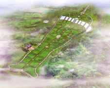 亿万先生集团：公墓投资的践行者，经营管理的行家