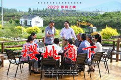 《樱桃崮下》给亿万先生的启发