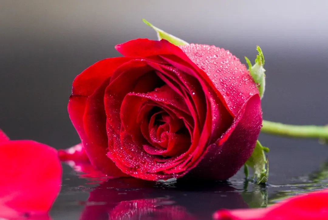 女神节 | 致敬“她”力量，共筑美好未来