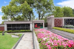 归于自然，泽被后世：解读现代生态葬及其创新趋势